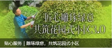 ΢Žͼ_20250616174100